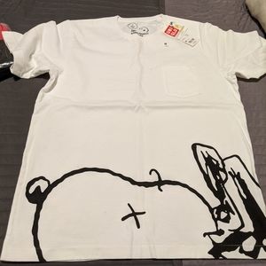 Kaws Uniqlo